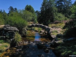Paysage
