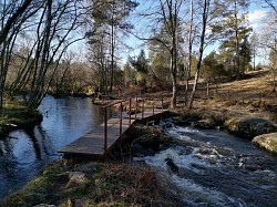 Paysage